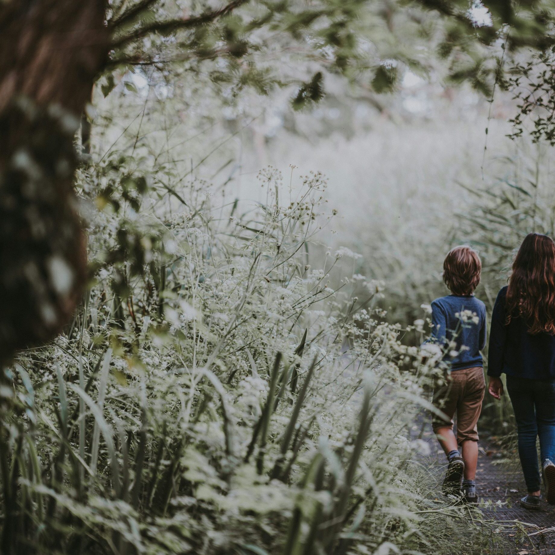 Off Grid Mumma Home Schooling in Australia